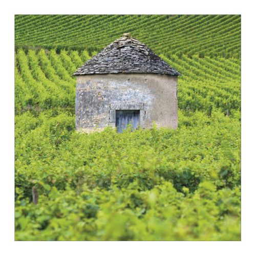 imagissime Alexandre Letessier carte postale Bourgogne couleur