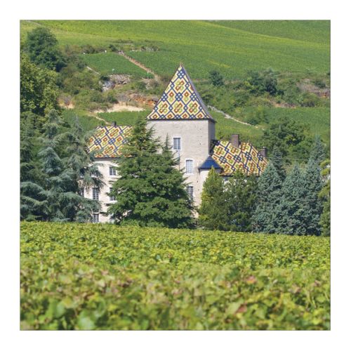 imagissime Alexandre Letessier carte postale Bourgogne couleur